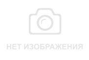 "В природу выпускать уже нельзя": Самке лебедя из "Чистого озера" частично ампутировали лапу (видео) - vchaspik.ua - Украина - Чугуев