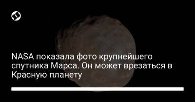 NASA показала фото крупнейшего спутника Марса. Он может врезаться в Красную планету - liga.net - Украина