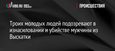 Троих молодых людей подозревают в изнасиловании и убийстве мужчины из Выскатки - ivbg.ru - Украина - Ленинградская обл. - район Сланцевский