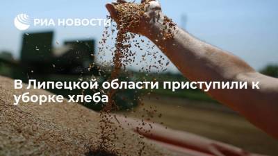 Игорь Артамонов - В Липецкой области приступили к уборке хлеба - smartmoney.one - Липецкая обл.