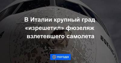 Анна Лысенко - В Италии крупный град «изрешетил» фюзеляж взлетевшего самолета - news.mail.ru - Италия - Нью-Йорк