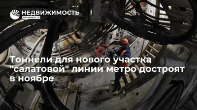 Сергей Собянин - Тоннели для нового участка "салатовой" линии метро достроят в ноябре - realty.ria.ru - Москва - Строительство