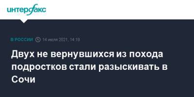 Двух не вернувшихся из похода подростков стали разыскивать в Сочи - interfax.ru - Москва - Россия - Сочи