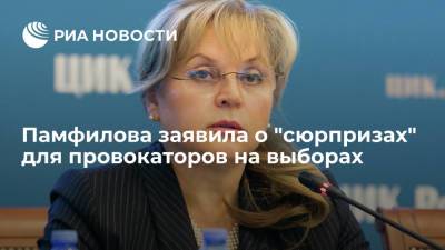 Элла Памфилова - Памфилова заявила о "сюрпризах" для тех, кто попытается проголосовать второй раз - ria.ru - Москва - Россия