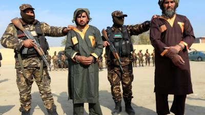 Минобороны Афганистана сообщило о ликвидации почти 200 боевиков - anna-news.info - Россия - Афганистан - Талибан