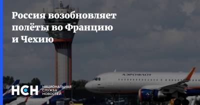 Владимир Путин - Россия возобновляет полёты во Францию и Чехию - nsn.fm - Москва - Россия - Санкт-Петербург - Египет - Франция - Париж - Чехия - Прага