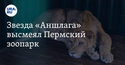 Юрий Гальцев - Звезда «Аншлага» высмеял Пермский зоопарк - ura.news - Англия - Пермь - Курганская обл.