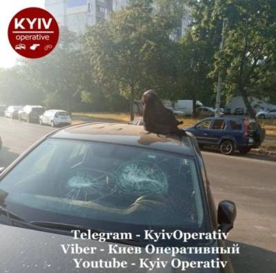 В столице хулиганы разбили стекло в автомобиле и положили голову коровы на крышу (ФОТО) - enovosty.com - Киев