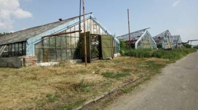 Депутаты гордумы обсудили вывод МУП «Зеленое хозяйство» из кризиса - penzainform.ru - Пенза