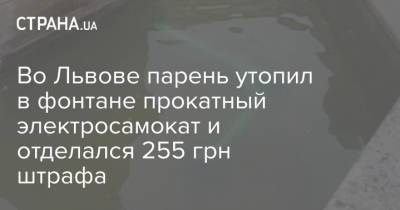 Во Львове парень утопил в фонтане прокатный электросамокат и отделался 255 грн штрафа - strana.ua - Украина - Львов