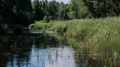 Под Воронежем в Усманке всплыл труп женщины - vestivrn.ru - Воронеж