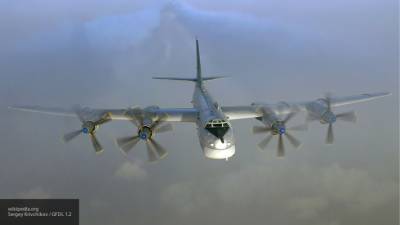 В Германии объяснили, почему «летающий динозавр» Ту-95 до сих пор остается незаменимым - newinform.com - Россия - Германия
