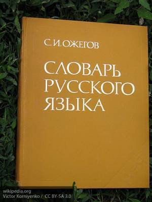 Пять русских слов, которые не стоит употреблять за границей - newinform.com - Сербия - Черногория
