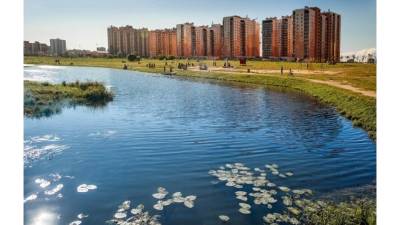 Отдел водных ресурсов Ленобласти планирует укрепить берега реки Оккервиль - piter.tv - Ленинградская обл. - Санкт-Петербург