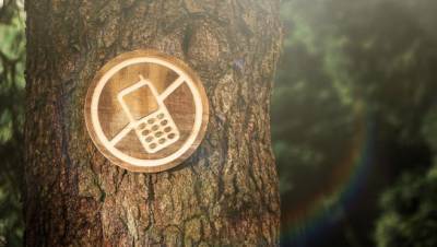 Digital-детокс: замедляемся и восполняем энергию - fokus-vnimaniya.com