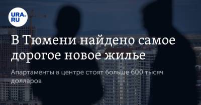 В Тюмени найдено самое дорогое новое жилье. Апартаменты в центре стоят больше 600 тысяч долларов - ura.news - Тюмень