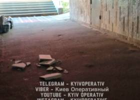 Собаку не могли оттащить шесть человек: в Днепре ротвейлер растерзал бездомного щенка - rupor.info