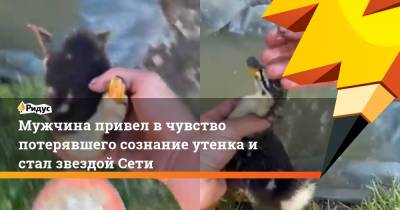 Мужчина привел в чувство потерявшего сознание утенка и стал звездой Сети - ridus.ru