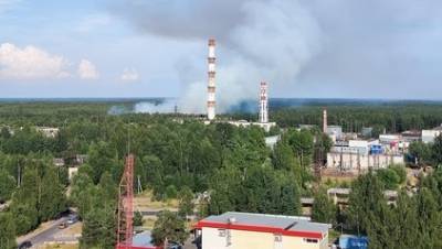 Фото: под Сосновым Бором горит два гектара леса - ivbg.ru - Украина - Ленинградская обл.