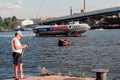 Рыба в российском городе оказалась под угрозой гибели из-за аномальной жары - lenta.ru - Россия - Санкт-Петербург