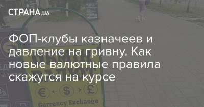ФОП-клубы казначеев и давление на гривну. Как новые валютные правила скажутся на курсе - strana.ua - США - Украина