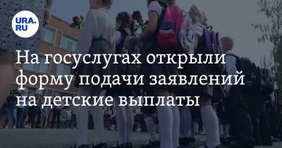 Максут Шадаев - На госуслугах открыли форму подачи заявлений на детские выплаты - ura.news - Россия - Калининград - Чукотка