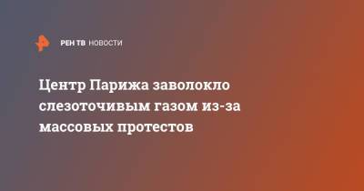 Центр Парижа заволокло слезоточивым газом из-за массовых протестов - ren.tv - Франция - Париж