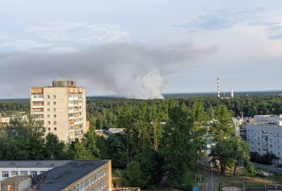Пожарные продолжают тушить полыхающий участок в Сосновом Бору - online47.ru - Ленинградская обл.