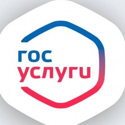 Ольга Баталина - Форма для оформления "школьной" выплаты появилась на "Госуслугах" для всех россиян - radiomayak.ru - Россия