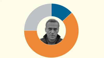 Алексей Навальный - Фирма, торгующая овечьей шерстью, оформляет права на "Умное голосование" - svoboda.org - Ставрополье