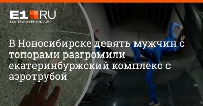 В Новосибирске девять мужчин с топорами разгромили екатеринбуржский комплекс с аэротрубой - e1.ru - Екатеринбург - Новосибирск