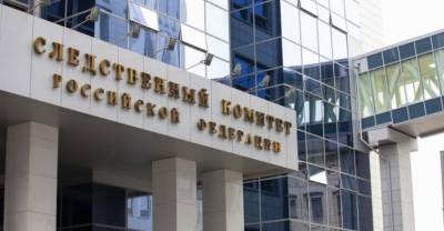 Александр Бастрыкин - Бастрыкин поставил на контроль дело о грозившем сбросить сына с балкона жителе Иркутска - reendex.ru - Россия - Иркутская обл. - Иркутск