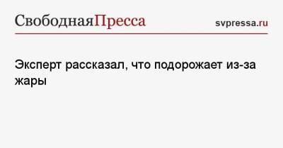 Иван Федяков - Эксперт рассказал, что подорожает из-за жары - svpressa.ru