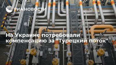 Владимир Зеленский - Сергей Макогон - Украинский эксперт Ищук заявила о праве Киева на компенсацию из-за "Турецкого потока" - ria.ru - Москва - Украина - Киев - Румыния - Венгрия - Греция