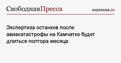 Экспертиза останков после авиакатастрофы на Камчатке будет длиться полтора месяца - svpressa.ru - Москва - Россия