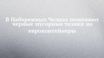 В Набережных Челнах поменяют черные мусорные тазики на евроконтейнеры - chelny-izvest.ru - Набережные Челны