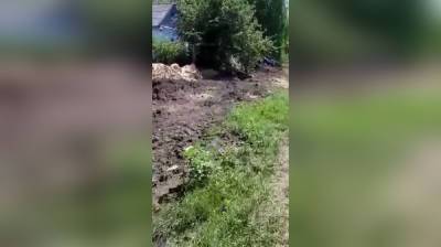 «С костылём не пройду». В воронежском селе пенсионеры вновь пожаловались на плохую дорогу - vestivrn.ru - Воронеж
