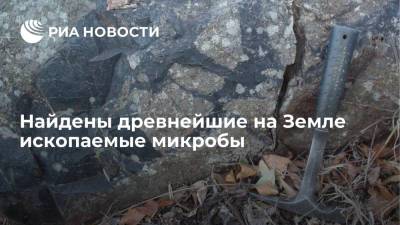 Найдены древнейшие на Земле ископаемые микробы - ria.ru - Москва - Юар - Мозамбик