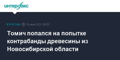 Томич попался на попытке контрабанды древесины из Новосибирской области - interfax.ru - Москва - Россия - Новосибирская обл. - Томск