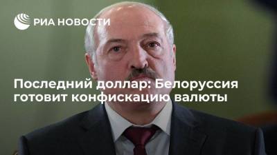 Александр Лукашенко - Последний доллар: Белоруссия готовит конфискацию валюты - smartmoney.one - Москва - Россия - Белоруссия - Минск
