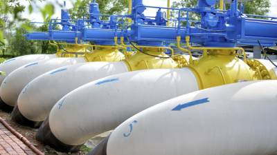 Киевский политолог потребовала компенсировать Украине запуск "Турецкого потока" - inforeactor.ru - Украина - Киев - Молдавия - Венгрия
