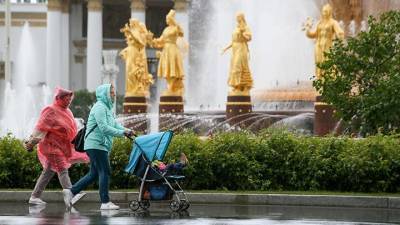 Евгений Тишковец - Москвичей предупредили о грозе и граде - vm.ru - Москва - Московская обл.