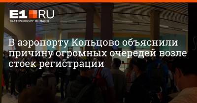 В аэропорту Кольцово объяснили причину огромных очередей возле стоек регистрации - e1.ru - Екатеринбург