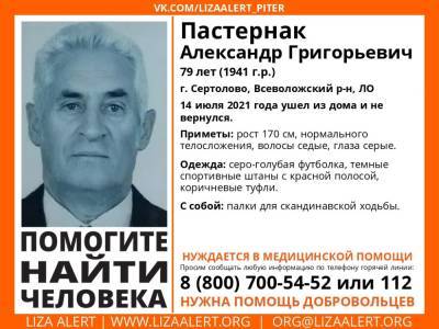 Элизабет Алерт - В Сертолово без вести пропал 79-летний мужчина - ivbg.ru - Украина - Ленобласть