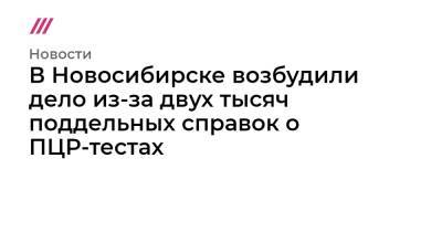 В Новосибирске возбудили дело из-за двух тысяч поддельных справок о ПЦР-тестах - tvrain.ru - Москва - Новосибирск - Новосибирская обл.