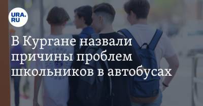 В Кургане назвали причины проблем школьников в автобусах - ura.news
