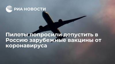 Михаил Мишустин - Шереметьевский профсоюз летного состава попросил разрешить ввоз иностранных вакцин от COVID-19 - ria.ru - Москва - Россия