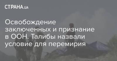 Освобождение заключенных и признание в ООН. Талибы назвали условие для перемирия - strana.ua - Украина - Афганистан