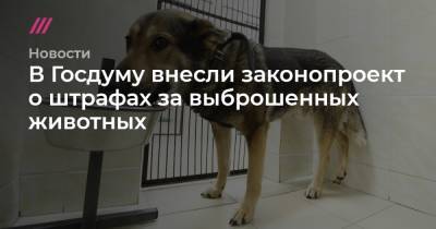 В Госдуму внесли законопроект о штрафах за выброшенных животных - tvrain.ru