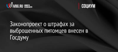 Владимир Бурматов - Павел Крашенинников - Законопроект о штрафах за выброшенных питомцев внесен в Госдуму - ivbg.ru - Россия - Украина